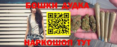 крисы Кинель