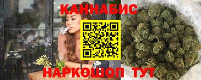 крисы Кинель